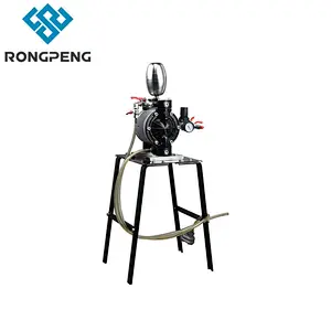 RONGPENG Pneumatic Double Diaphragm Pump R8411