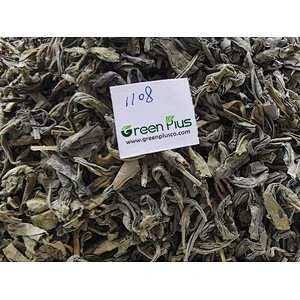 Green Tea 1108