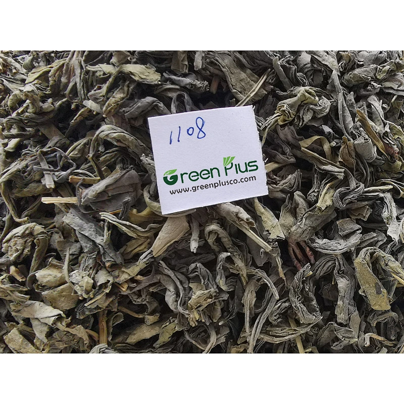 Green Tea 1108
