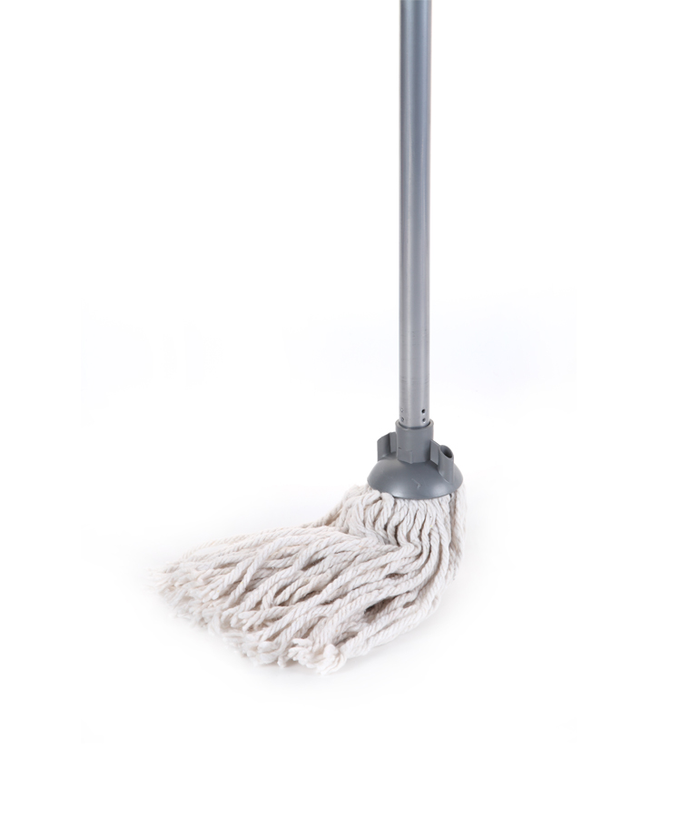 Mop With Handle1