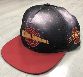 OEM Fashion basketball hats snapback hat hip hop cap