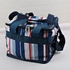 Portable fitness cooler lunch bag