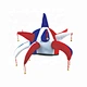 Custom Festival Carnival  Crazy Costume Hat