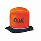 Costume carnival hats