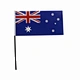 car flag hand flag national flag