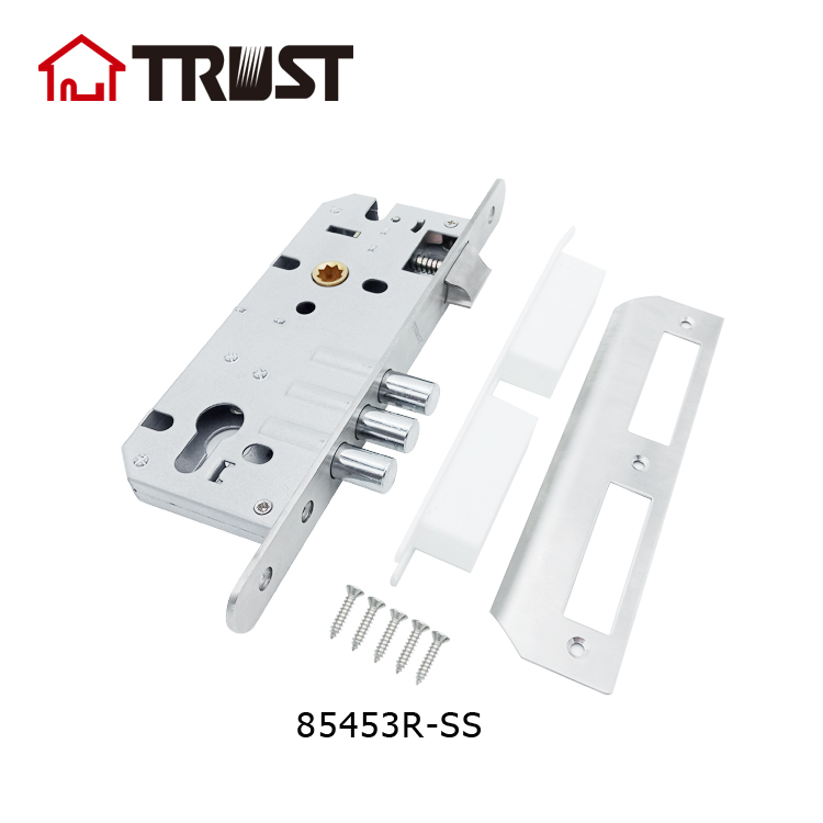 85453R-SS-00a.jpg