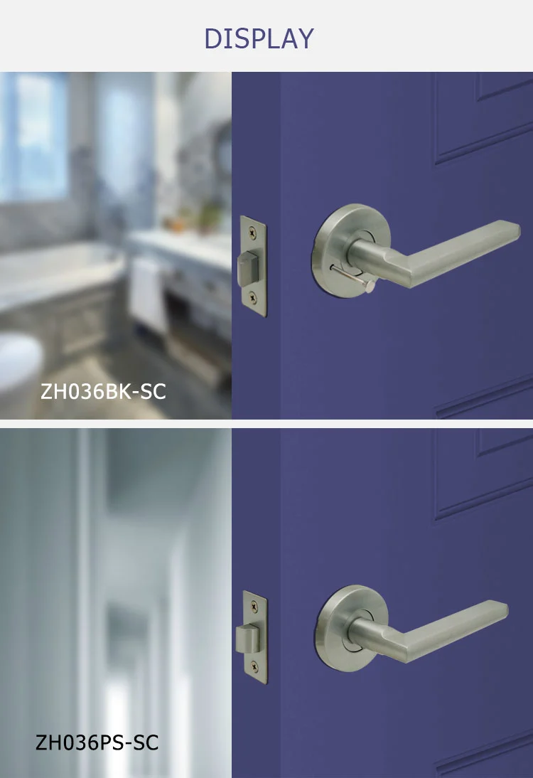 ZH-_06.jpg