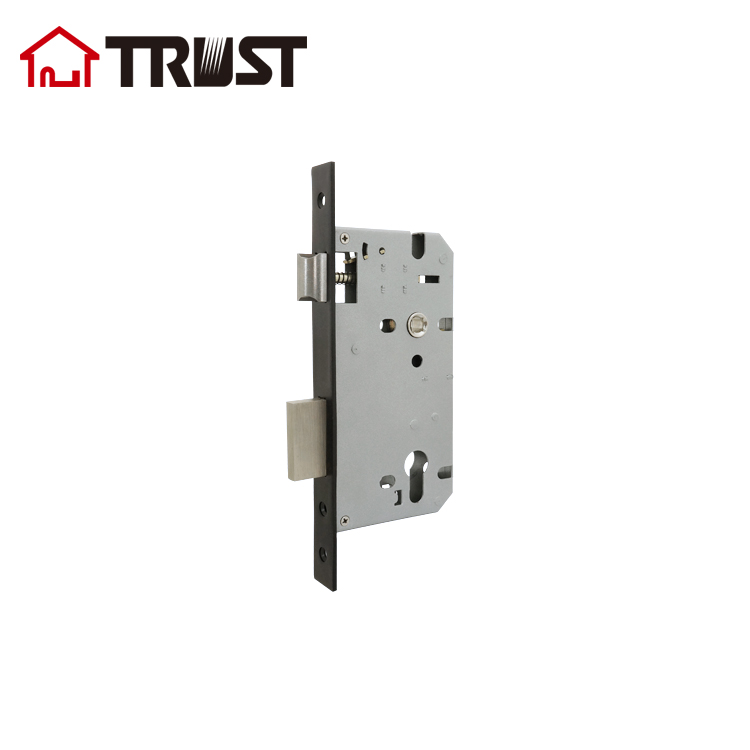 8560DB-SF-MB-01A.jpg