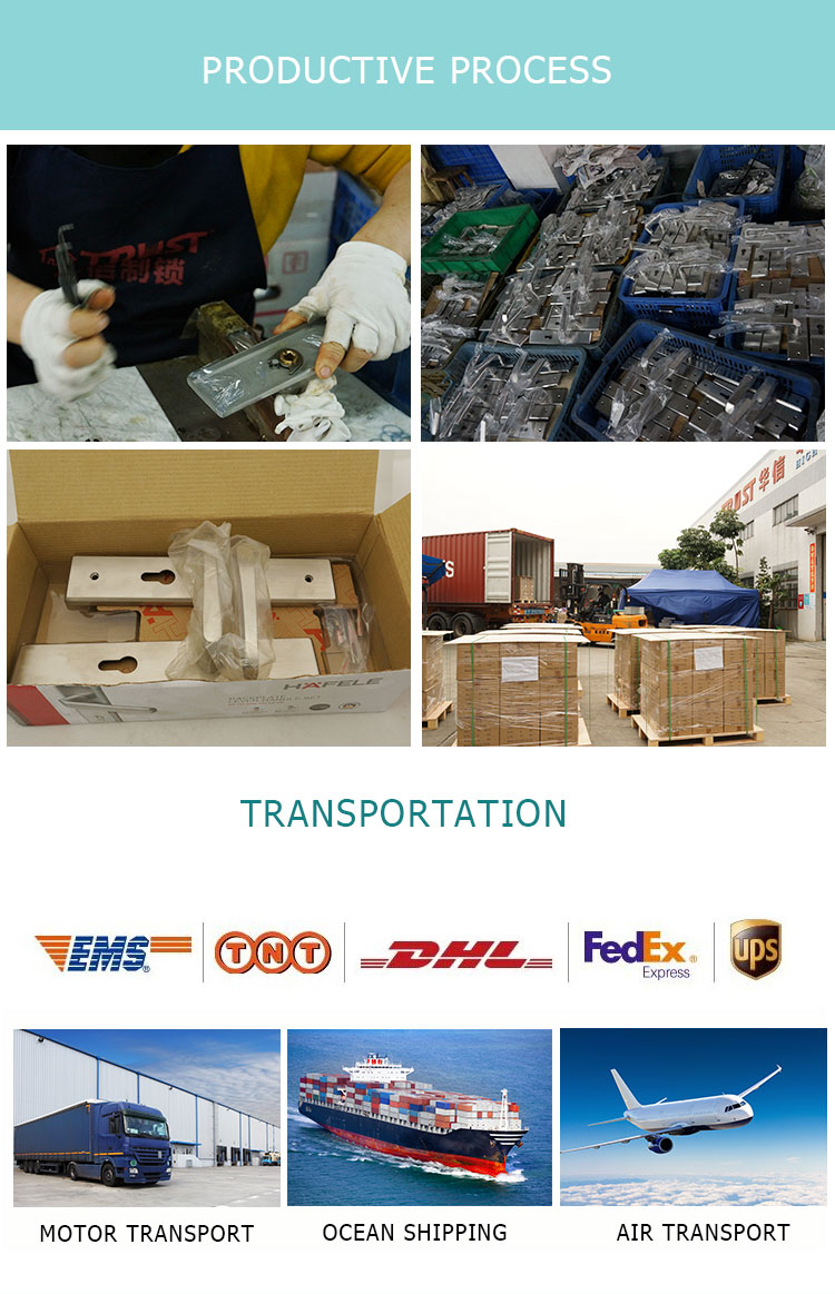 TP01-_07.jpg