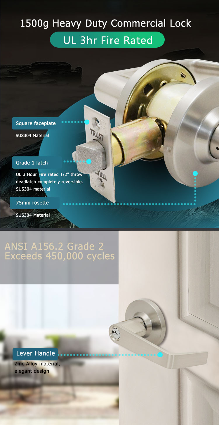 modern interior door handles