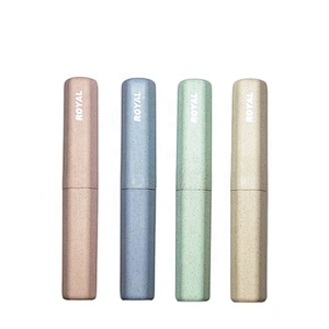 Biodegradable charcoal bristles wheat straw toothbrush with portable case