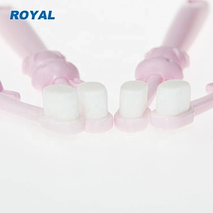 ten thousand bristles gum care animated toothbrush