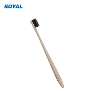 Biodegradable charcoal bristles wheat straw toothbrush with portable case