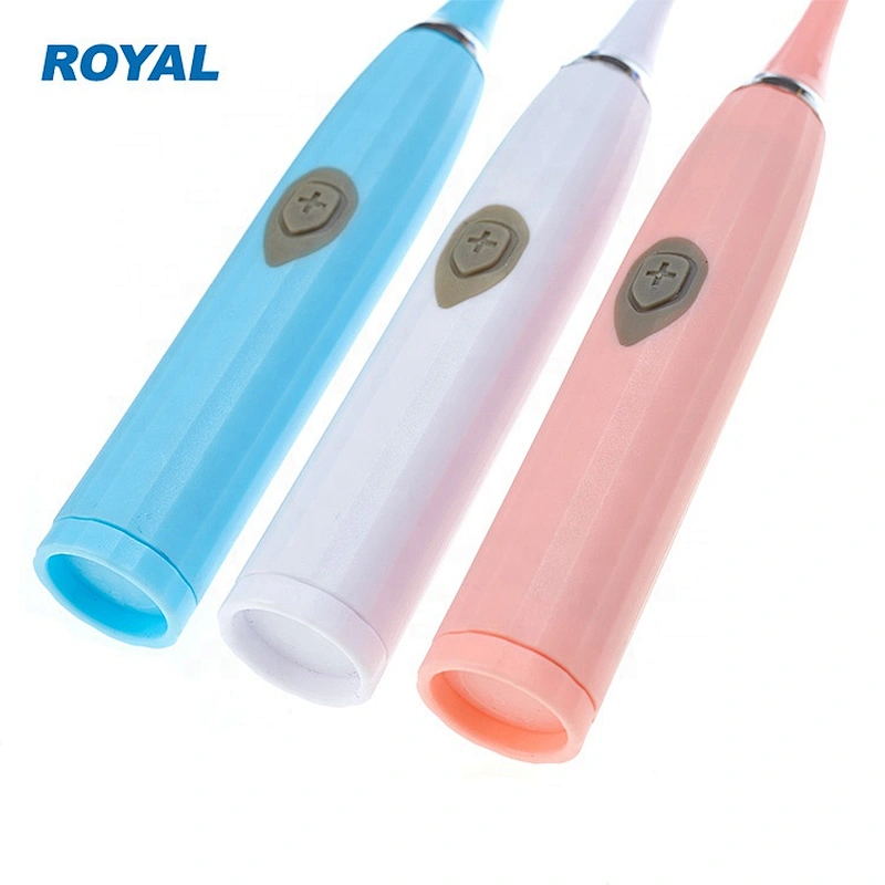 Adult Electric Toothbrush with Replacement Brush Heads