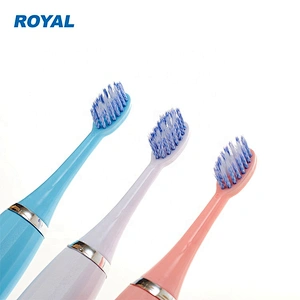 Adult Electric Toothbrush with Replacement Brush Heads