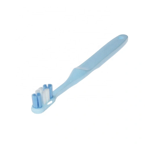 oral care promotion toothbrush with ten thousand bristles