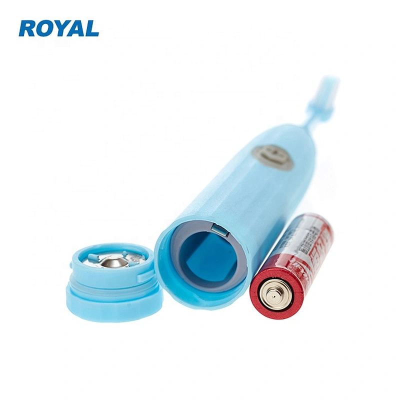 Adult Electric Toothbrush with Replacement Brush Heads