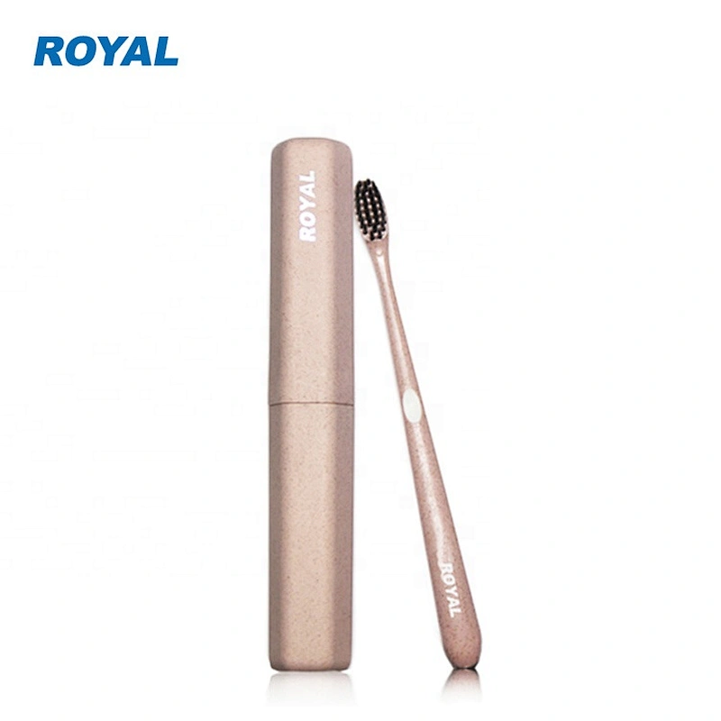 Biodegradable charcoal bristles wheat straw toothbrush with portable case