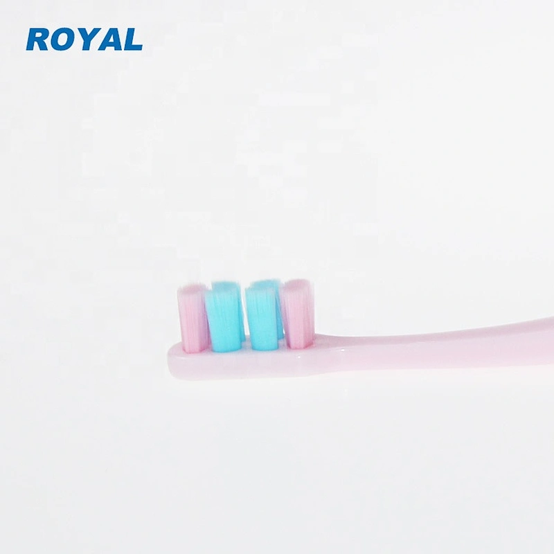 oral tooth brush for adult with 10,000 bristles