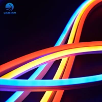 LED标识专用霓虹灯