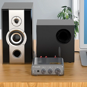 1Mii DS300 HiFi Bluetooth 5.0 Digital Amplifier Receiver 100W RMS X 2 Speakers 24V Power Adapter