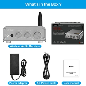 1Mii DS300 HiFi Bluetooth 5.0 Digital Amplifier Receiver 100W RMS X 2 Speakers 24V Power Adapter