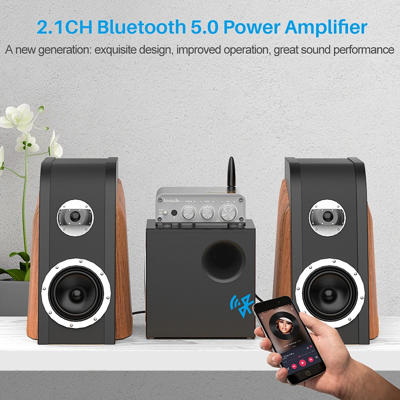 1Mii DS300 HiFi Bluetooth 5.0 Digital Amplifier Receiver 100W RMS X 2 Speakers 24V Power Adapter