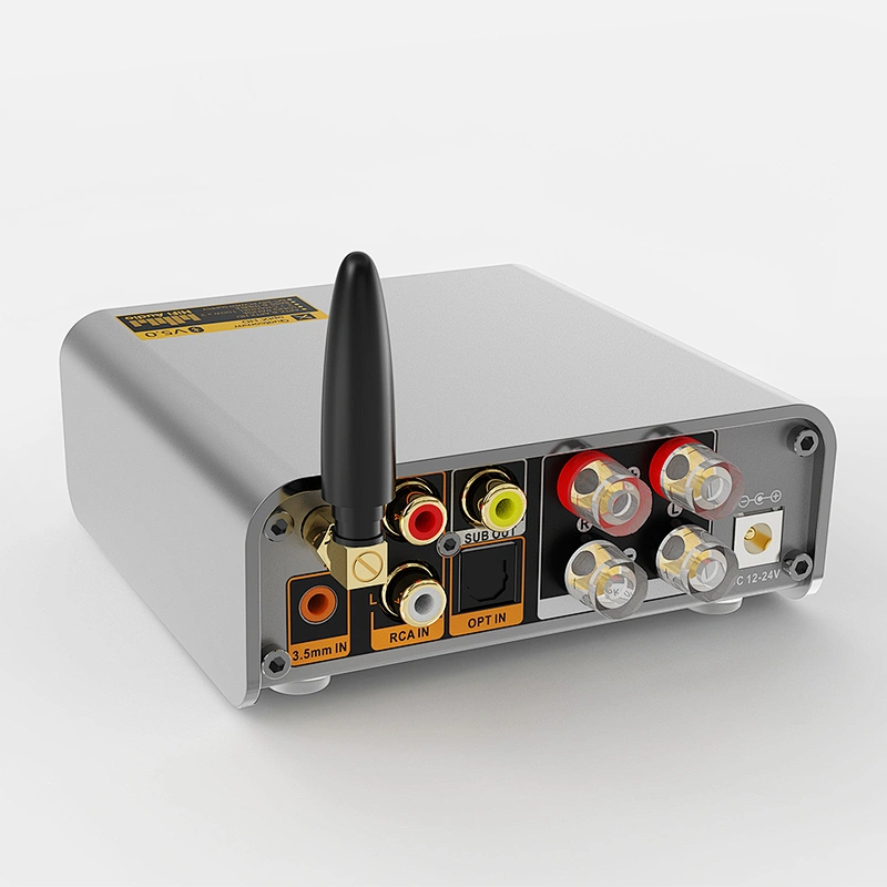 1Mii DS300 HiFi Bluetooth 5.0 Digital Amplifier Receiver 100W RMS X 2 Speakers 24V Power Adapter