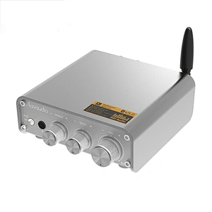 1Mii DS300 HiFi Bluetooth 5.0 Digital Amplifier Receiver 100W RMS X 2 Speakers 24V Power Adapter