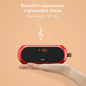 FM Radio Outdoor Digital BT Speaker 10W*2 Multi-function Bluetooth Audio Speaker with Number pad, LED Screen Display