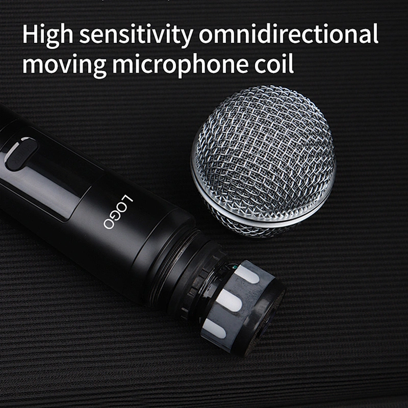 Portable Cordless UHF Microphone Set With Receiver Multi-functional Dual Wireless Dynamic Handheld Microphone Kit For Speakers