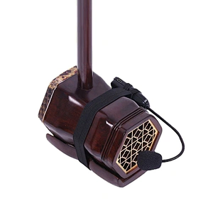 Multi-function Light Rechargeable Instrument Microphone With Receiver Erhu Musical Cordless Wireless Condenser Microphone
