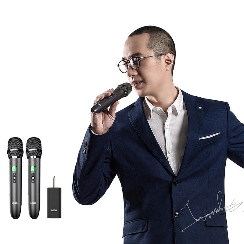 UHF Double Professional Wireless Microphone System Karaoke Handheld Coil-moving Microphone For Church/Speech