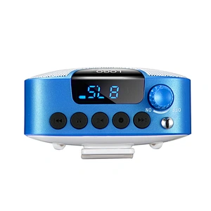 1800mAh Rechargeable 10W Power Wired Voice Amplifier with Bluetooth 5.0 Speaker and Acoustic Microphone for Teaching, Meeting