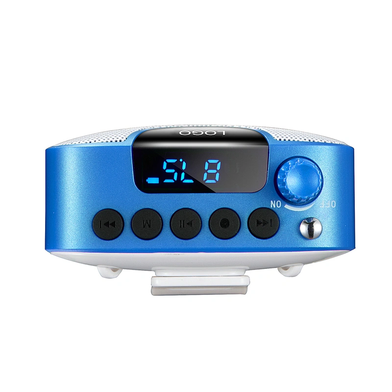 1800mAh Rechargeable 10W Power Wired Voice Amplifier with Bluetooth 5.0 Speaker and Acoustic Microphone for Teaching, Meeting