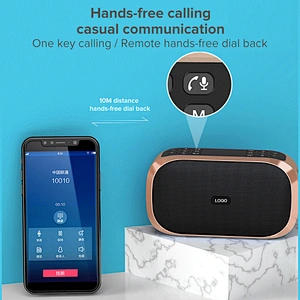 Mini Classic Rechargeable FM Radio Speaker With Number Pad And Screen Portable Mini Digital Bluetooth Speaker