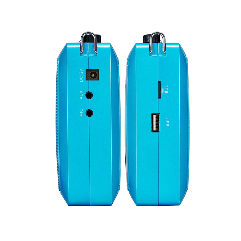 Portable Bluetooth 5.0 Speaker with Headset Wireless Microphone Rechargeable Teaching UHF Voice Amplifier HiFi Recording