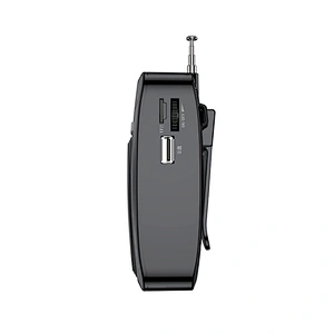 13W 1800mAh Lithium Battery Tutor Teachers Loudspeaker FM Wired Microphone Voice Amplifier With Recording