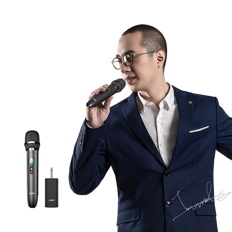 Top Rated Portable Professional Outdoor Stage Performance Rechargeable Karaoke Handheld Microphone Kit With Receiver