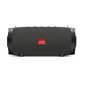 40W Output Power BT Speaker IPX5 Waterproof and 4400mAh Rechargeable Wireless Music Player with 2.6 inch Speaker x 2