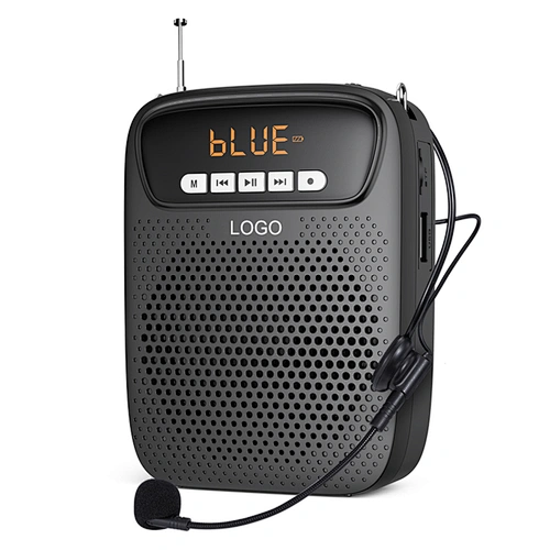 15 Watt 3.7V 2500mAh Support FM Radio TWS Double Channel Voice Amplifier With Wired Microphone for Classroom