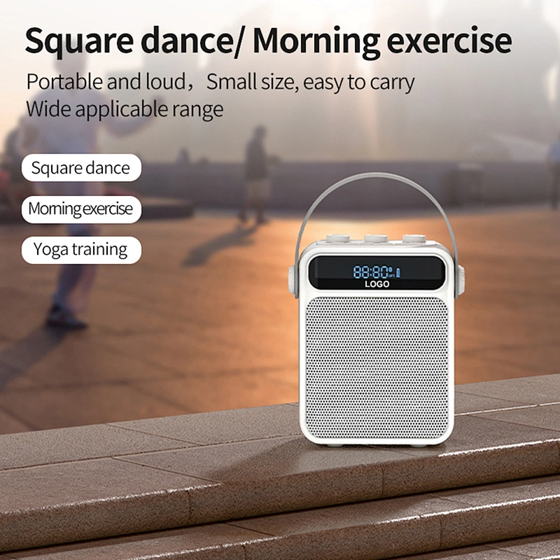 Light Wight and Loud Sound Portable Acoustic Karaoke Speaker with Bluetooth 5.0 TWS 25W Party Speaker