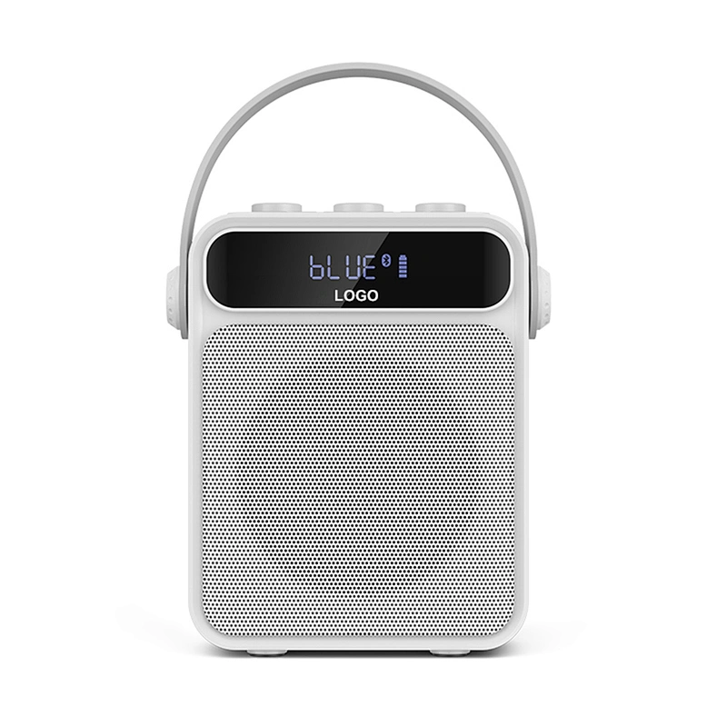 Light Wight and Loud Sound Portable Acoustic Karaoke Speaker with Bluetooth 5.0 TWS 25W Party Speaker