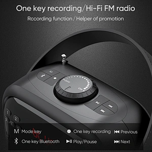 Small Size Hi-Fi FM Radio 25W Powerful Bluetooth Speaker Support TWS TF Card USB Flash Drive Rechargeable Speaker Box