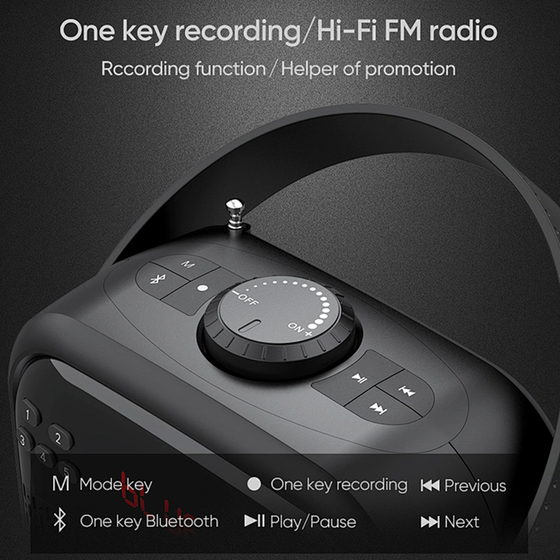 Small Size Hi-Fi FM Radio 25W Powerful Bluetooth Speaker Support TWS TF Card USB Flash Drive Rechargeable Speaker Box