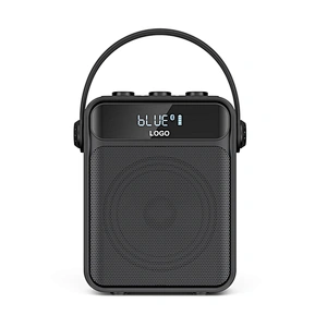 Light Wight and Loud Sound Portable Acoustic Karaoke Speaker with Bluetooth 5.0 TWS 25W Party Speaker