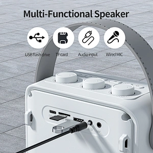Light Wight and Loud Sound Portable Acoustic Karaoke Speaker with Bluetooth 5.0 TWS 25W Party Speaker