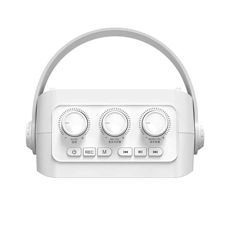 Light Wight and Loud Sound Portable Acoustic Karaoke Speaker with Bluetooth 5.0 TWS 25W Party Speaker