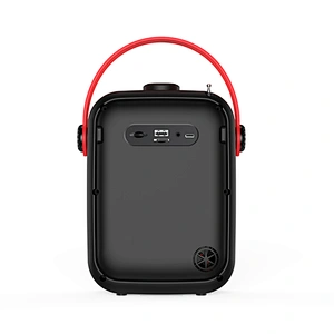 Small Size Hi-Fi FM Radio 25W Powerful Bluetooth Speaker Support TWS TF Card USB Flash Drive Rechargeable Speaker Box