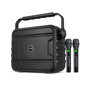 120 Watts Powerful Musical Instrument Speaker Set Professional 8 Inch Bluetooth PA Speaker With Microphone